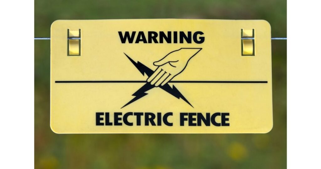 Can an electric Fence kill a dog.