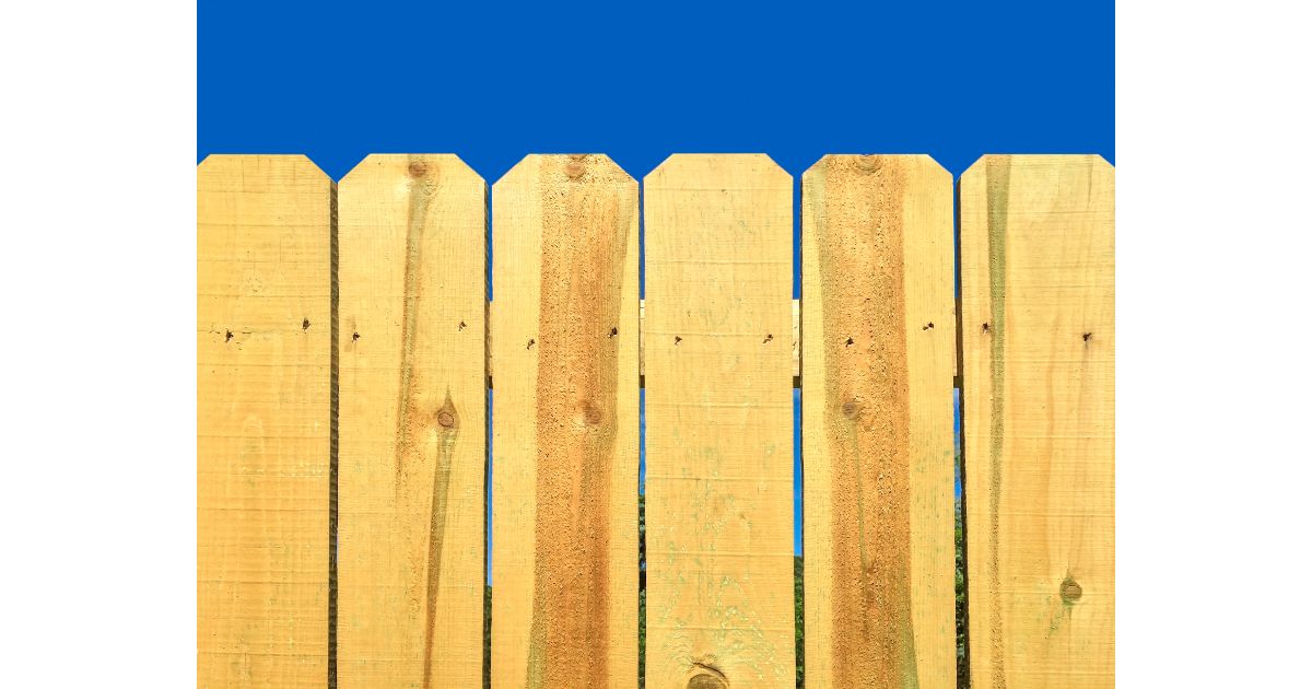 Do It Yourself Dog Fence: Best 5 Step Guide