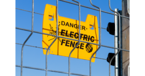 Can an electric Fence kill a dog