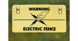 How Much Does an Electric Dog Fence Cost