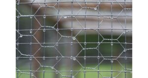 Dog Fence With Chicken Wire