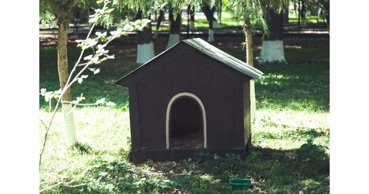 Dog Fence with Cover