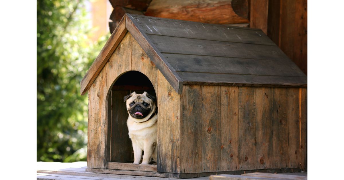 Dog Fence With Top