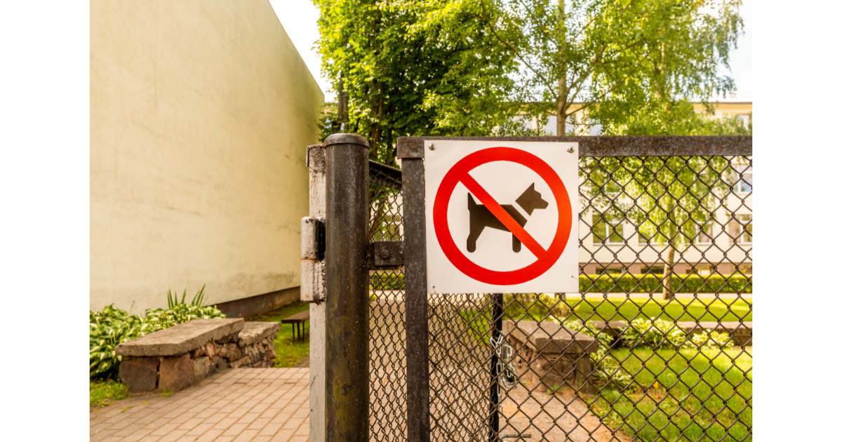 Dog Fence With Gate